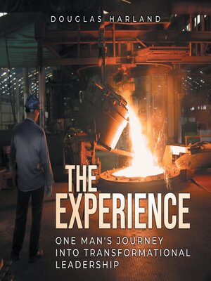 cover image of The Experience